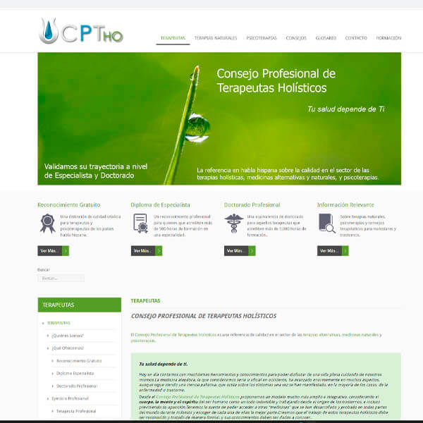 Consejo Profesional de Terapeutas